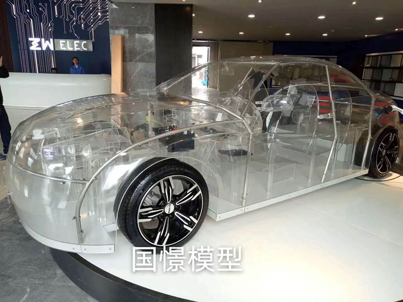 渠县透明车模型