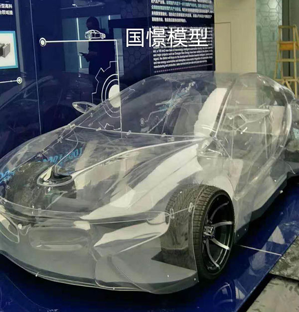 渠县透明车模型
